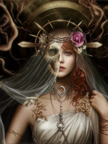 Produit The Veil of Death Image