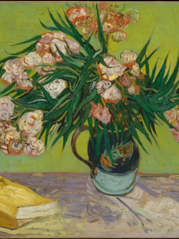 Produit Vincent Van Gogh - Lauriers Roses,1888 Image