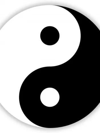 Produit Le Yin et le Yang Image