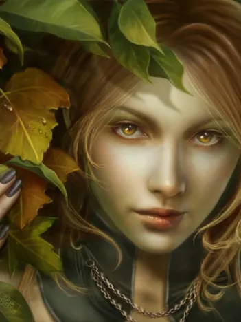 Produit The Leaf Say Image