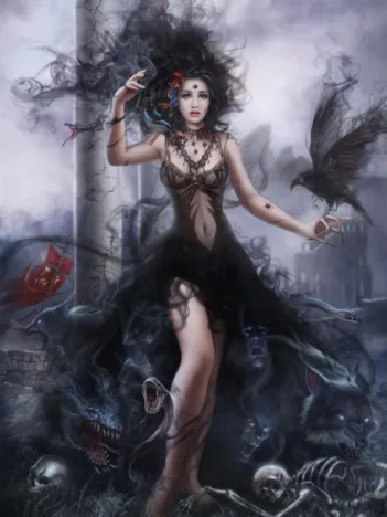 Produit Shadowness Image