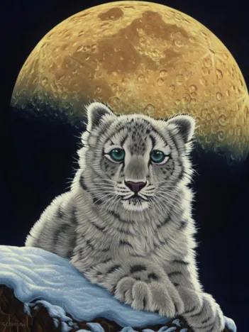 Produit Schim Schimmel - Moon Leopard Image