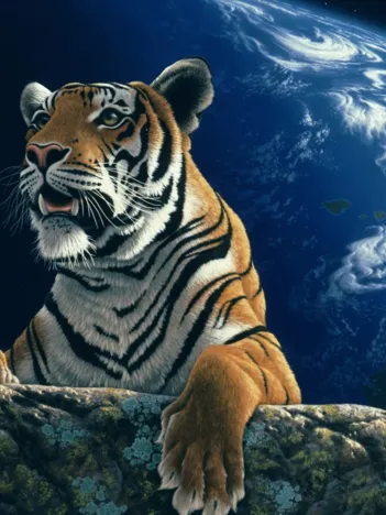 Produit Schim Schimmel - Only One Home Image