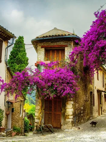 Produit Provence, France Image