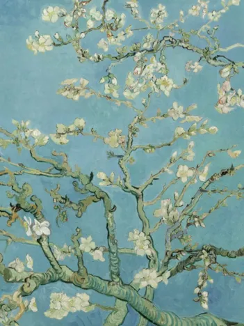 Produit Vincent Van Gogh - Amandier en Fleurs, 1890 Image