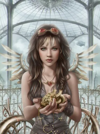 Produit Steam Heart Image