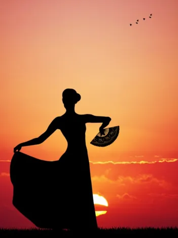 Produit Flamenco at Sunset Image