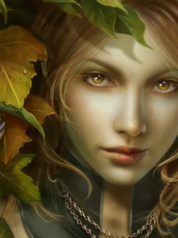 Produit The Leaf Say Image