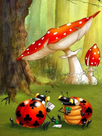 Produit François Ruyer - Poker des Coccinelles Image