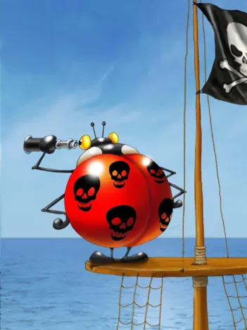 Produit François Ruyer - Coccinelle Pirate Image