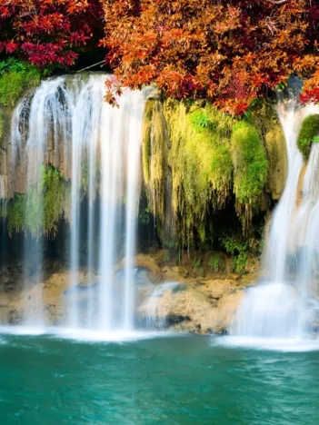 Produit Cascade en Forêt Image