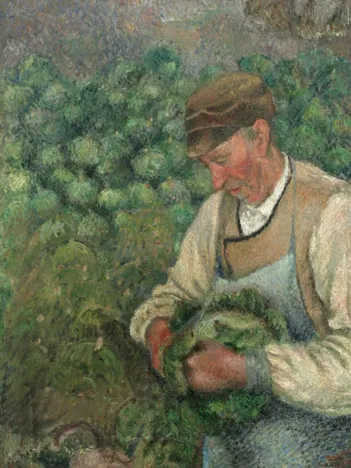 Produit Camille Pissarro : Le Jardinier - Vieux Paysan avec Chou, 1883-1895 Image