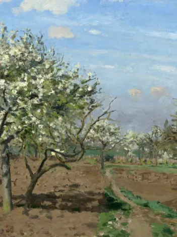Produit Camille Pissarro : Verger en Fleurs, Louveciennes, 1872 Image
