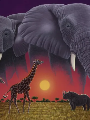 Produit Schim Schimmel - Africa's Children Image