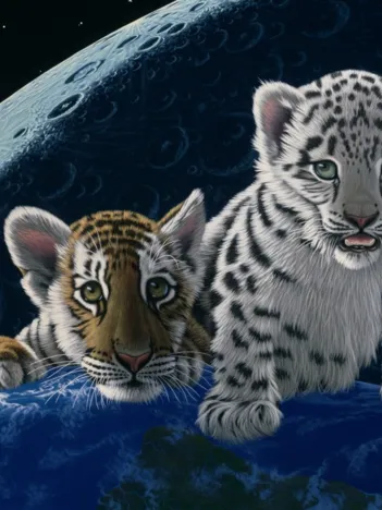 Produit Schim Schimmel - Total Eclipse Image