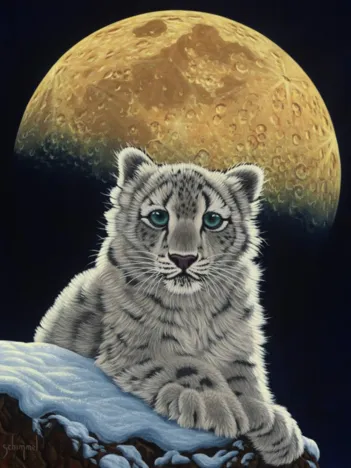 Produit Schim Schimmel - Moon Leopard Image