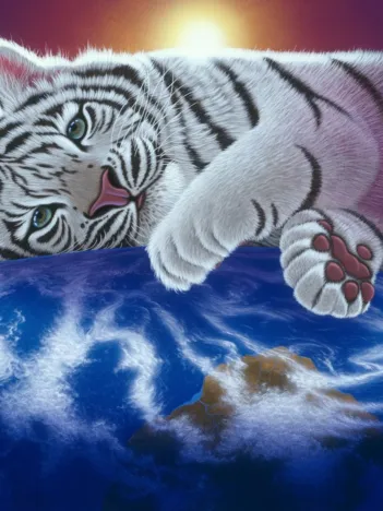 Produit Schim Schimmel - Cuddle Time Image