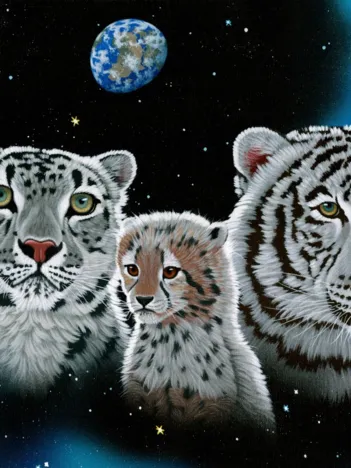 Produit Schim Schimmel - Gentle Family Image