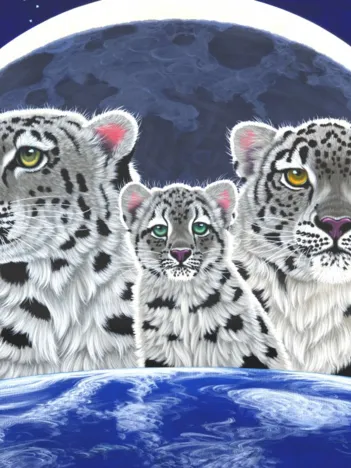 Produit Schim Schimmel - Loving Family Image