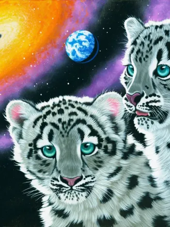 Produit Schim Schimmel - Miracle of the Universe Image