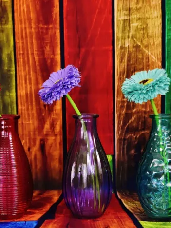 Produit Vases Fleuris et Colorés Image