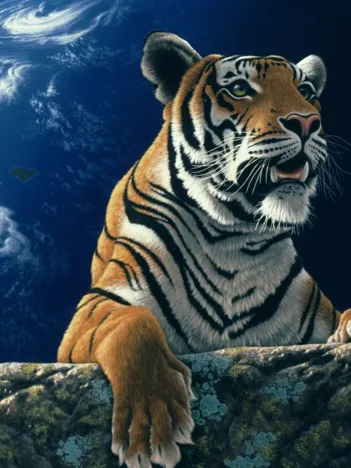 Produit Schim Schimmel - Only One Home 2 Image