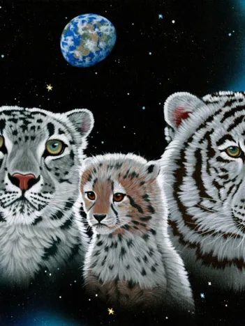 Produit Schim Schimmel - Gentle Family Image