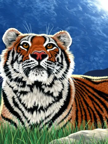 Produit Schim Schimmel - Shared World Image