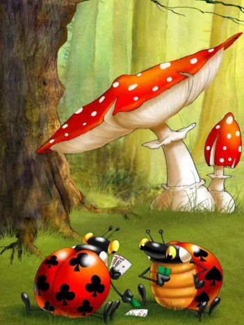 Produit François Ruyer - Poker des Coccinelles Image