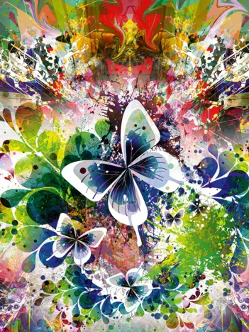 Produit Fleurs et Papillons de Printemps Image