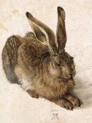 Produit Dürer - Le Lapin Image
