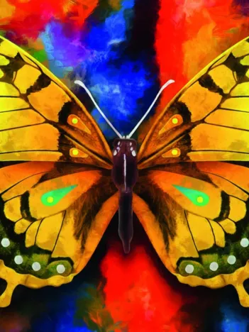 Produit Papillon Image