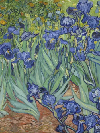 Produit Vincent Van Gogh - Les Iris, 1889 Image
