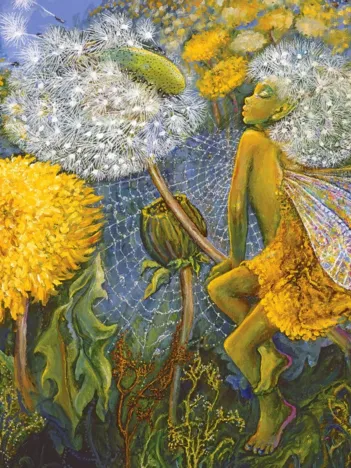 Produit Dandelion Fairy Image