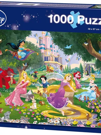 Produit Disney Princess Image