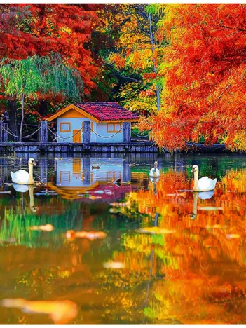 Produit Little House at The Lake Image