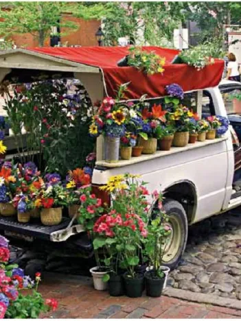 Produit For Sale Image