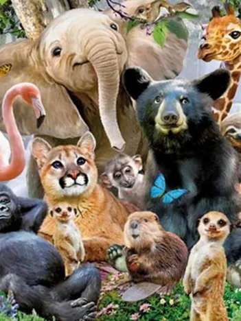 Produit Jungle Party Image