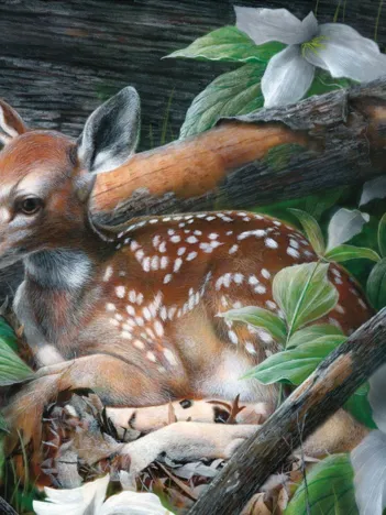 Produit Undercover Image