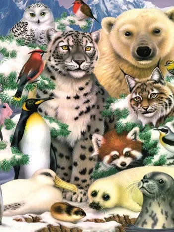 Produit Artic Life Image