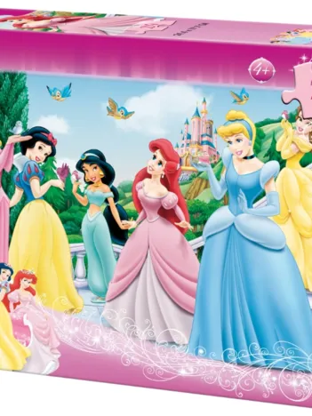 Produit Disney Princesses Image
