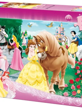 Produit Disney Princesses Image