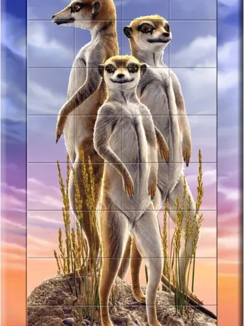 Produit Mini Puzzles Magnet Suricates Image