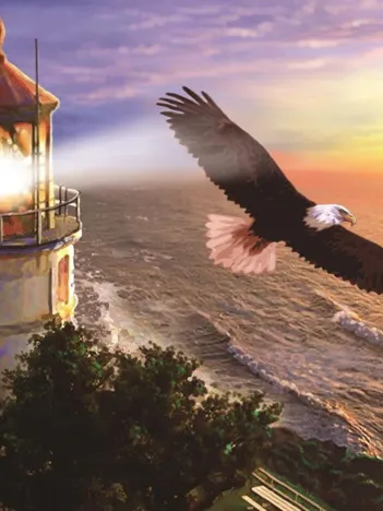 Produit Vol au Lever du Soleil Image