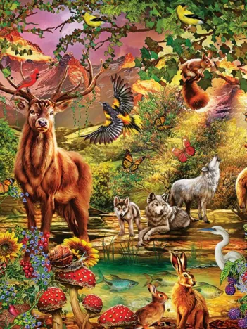 Produit Forêt Enchantée Image