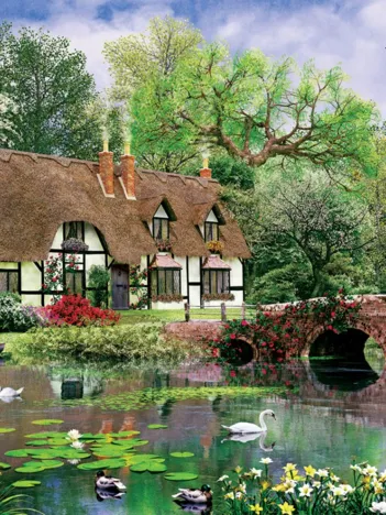 Produit Fleurs de Lotus Image