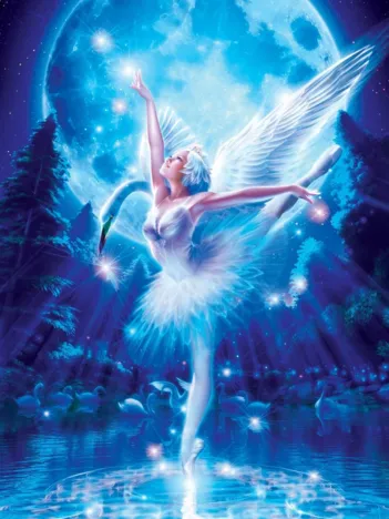 Produit Ballet du Lac des Cygnes Image