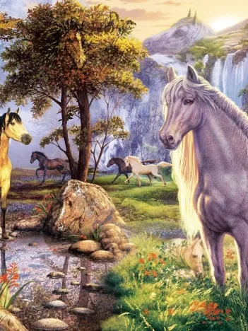 Produit Chevaux Cachés Image