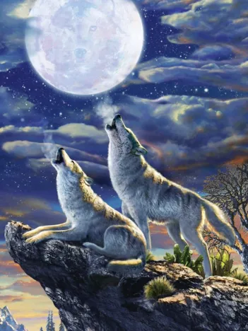 Produit Les Loups de la Pleine Lune Image