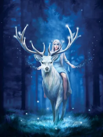 Produit Anne Stokes - Fantasy Forest Image